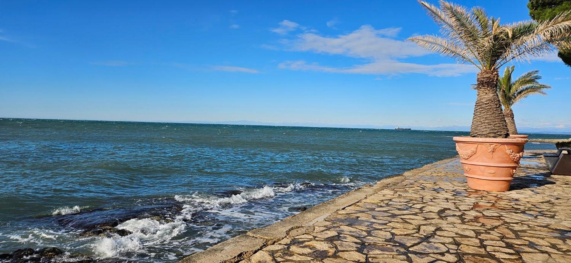 Sea View Apartment Renzzo Strunjan Bagian luar foto