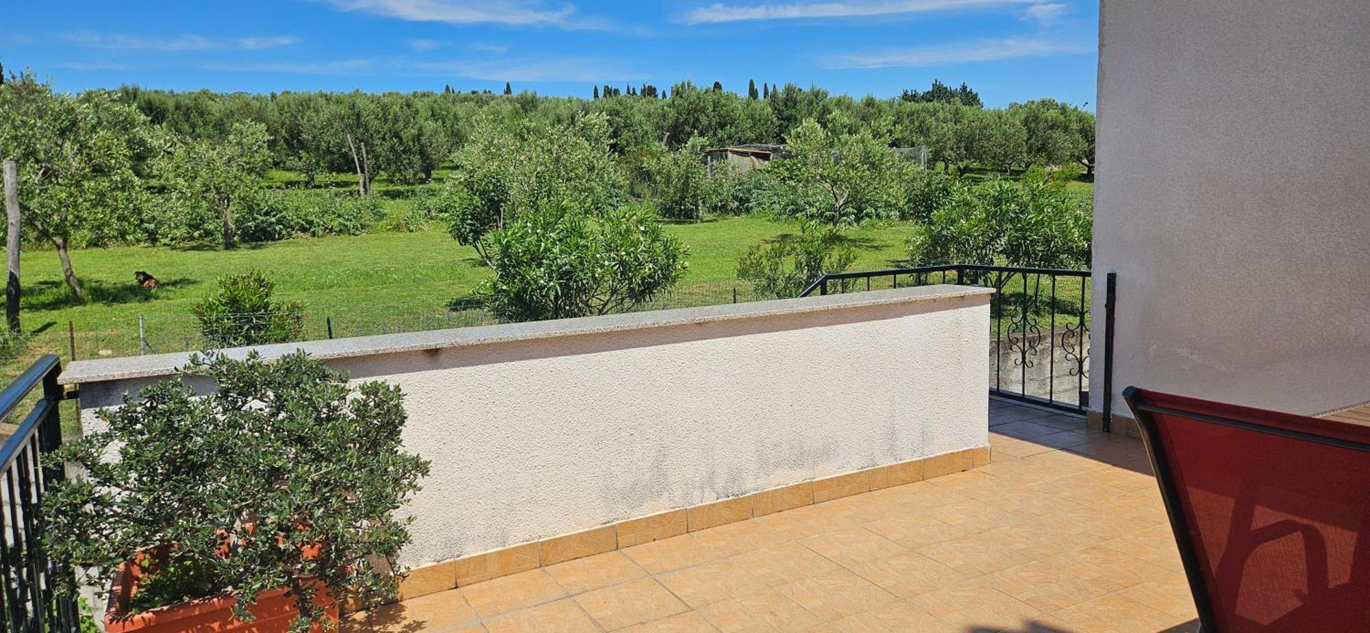 Sea View Apartment Renzzo Strunjan Bagian luar foto